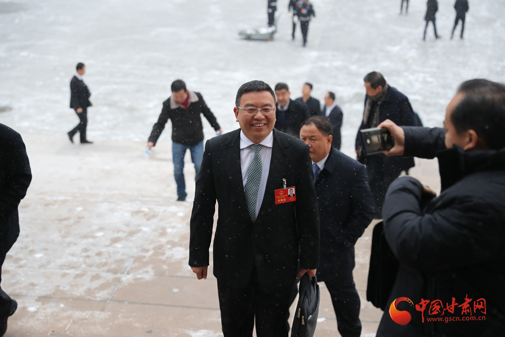 【聚焦2020甘肅兩會】“兩會”代表、委員風(fēng)采掠影（組圖）