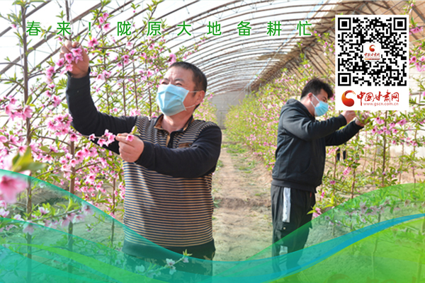 海報(bào)丨春來(lái)！隴原大地春耕忙