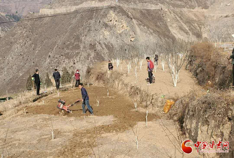 隴南武都區(qū)：“主題黨日”活動接地氣 “黨員服務(wù)隊”田間地頭助春耕（圖）