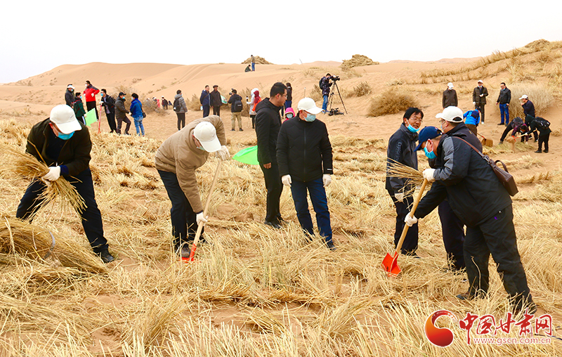 不“疫”樣的植樹節(jié)！甘肅省新聞戰(zhàn)線工作者攜手播綠“八步沙”（圖+視頻）