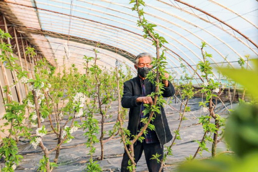 銅城復(fù)蘇：春光明媚，邀你共賞芳華（組圖）