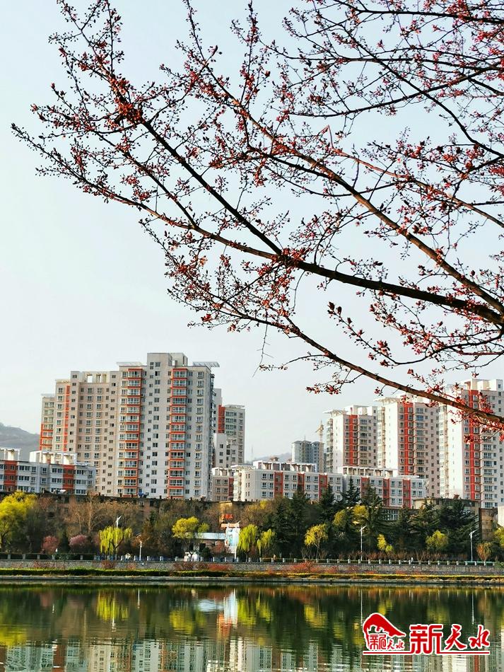 春天，古城天水的十個美麗瞬間