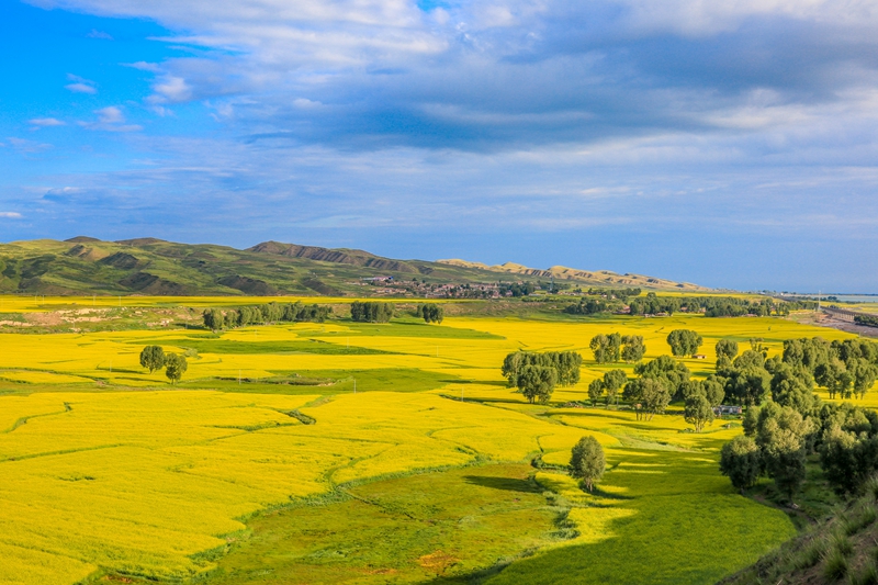 創(chuàng)意海報丨甘肅的美，你來了才知道