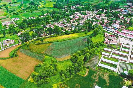 【溫暖的回響 滄桑巨變 飲水思源】這條路，通往幸福