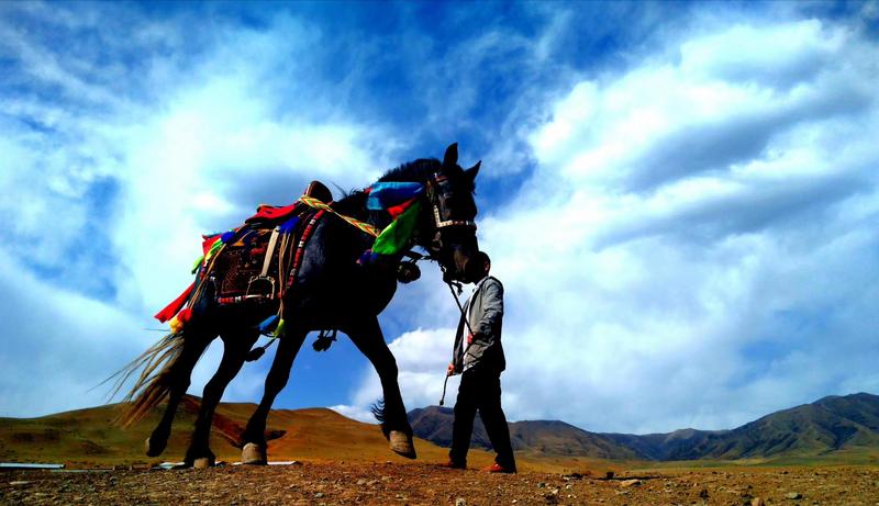 好消息！天祝被命名為“中國高原走馬之鄉(xiāng)”