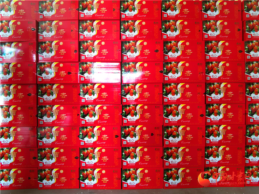 慶陽(yáng)寧縣曹杏搭載電商“順風(fēng)車”走四方（圖）