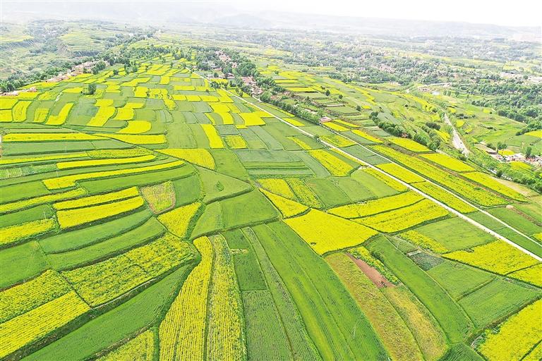 奮楫揚帆風(fēng)正勁 爭先進(jìn)位正當(dāng)時——臨夏州上半年經(jīng)濟社會發(fā)展和重點工作綜述