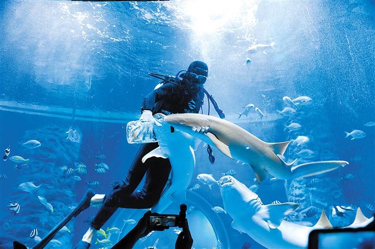 蘭州海洋公園 金昌火星1號基地 這個(gè)暑假我們“上天入?！?>
        </a><em>蘭州海洋公園 金昌火星1號基地 這個(gè)暑假我們“上天入?！?/em></li>
    <li><a  target=