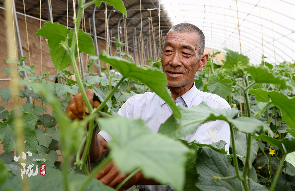 【小隴畫報·100期】筑夢黃花灘：老照片里映過往 新生活中蘊(yùn)未來
