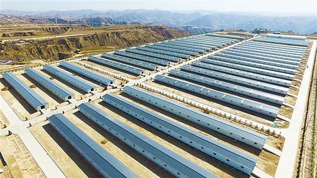 小康路上“羊”眉吐氣——慶陽(yáng)環(huán)縣脫貧攻堅(jiān)工作綜述