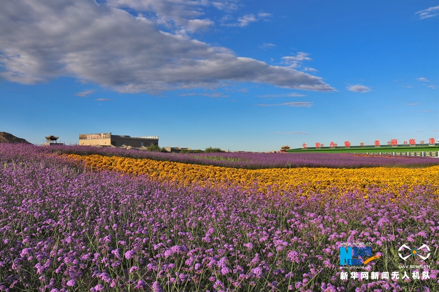【“飛閱”中國(guó)】鳳凰花?！罢钩帷钡は伎?>
        </a><em>【“飛閱”中國(guó)】鳳凰花?！罢钩帷钡は伎?/em></li>
    <li><a  target=