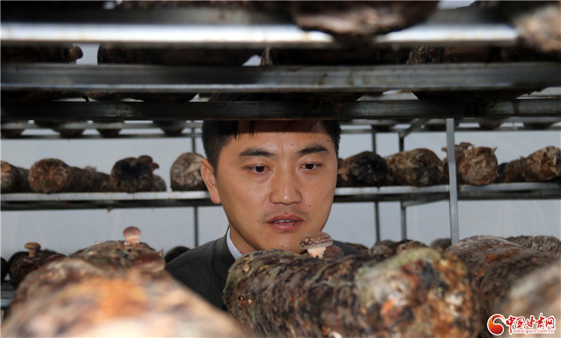 110年！何家溝村終于有了集體經(jīng)濟——中建二局黨建結(jié)對幫扶成效顯著