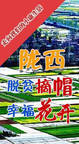 【走向我們的小康生活】長圖|隴西：脫貧摘帽 幸?；ㄩ_