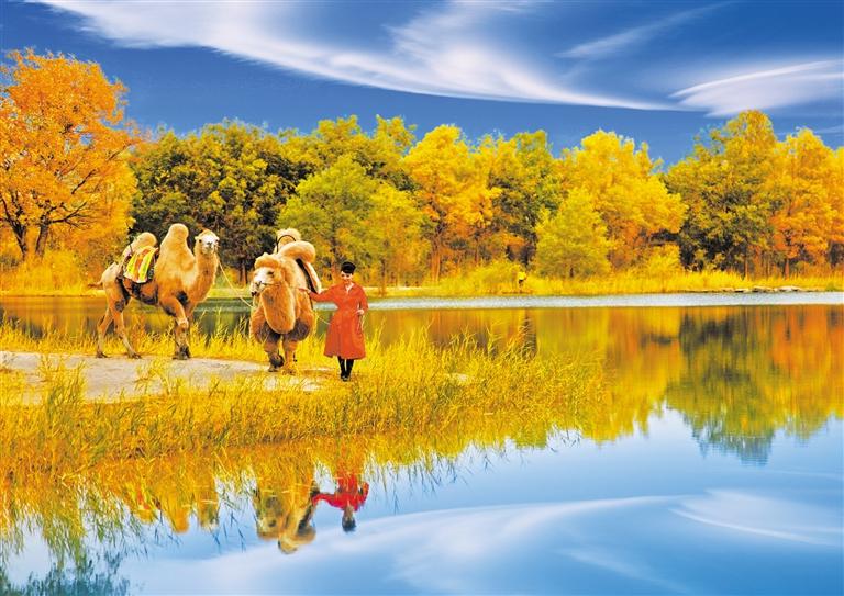 國慶長假，去金塔遇見最美胡楊