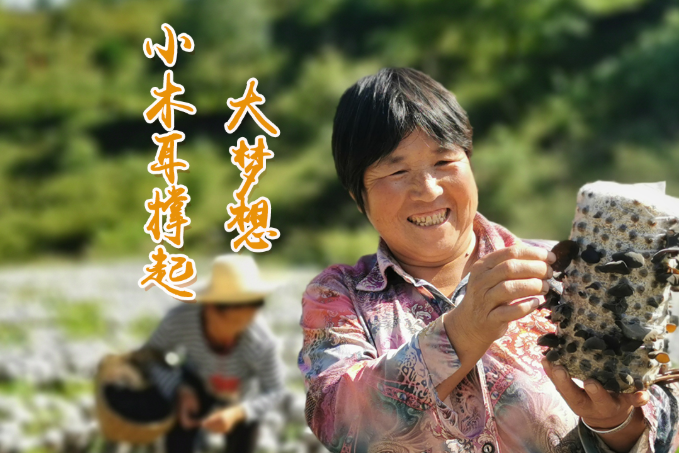 海報(bào)丨他們，乘“豐”破浪！