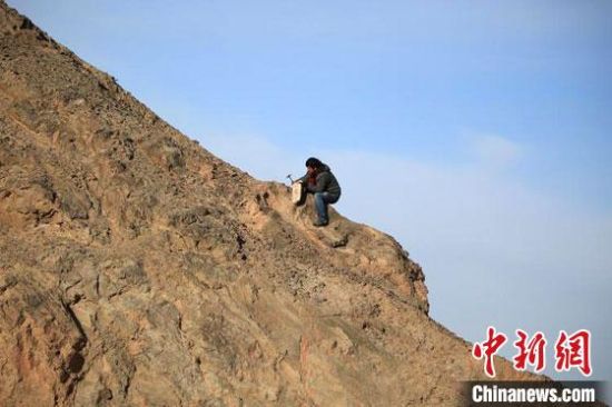 圖為敦煌“80后”畫家張杰龍在敦煌三危山里采集礦石顏料。(資料圖)受訪者供圖