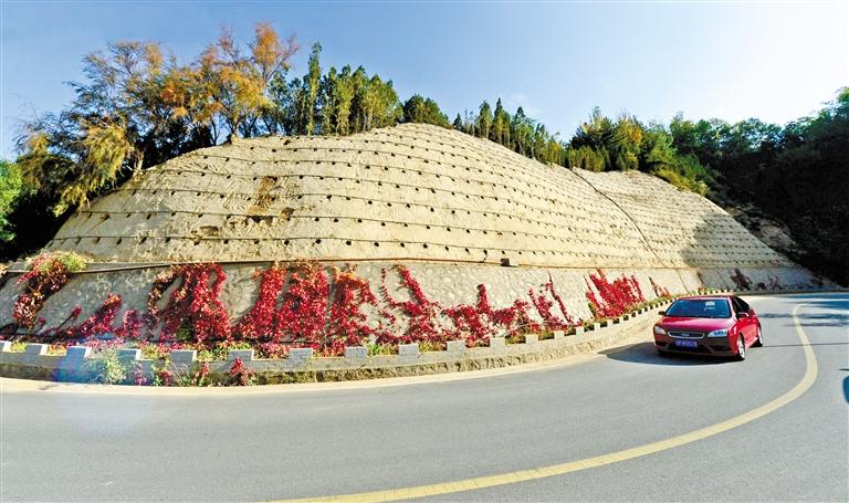 近90度陡坡上種樹！蘭州南北兩山綠化出新招