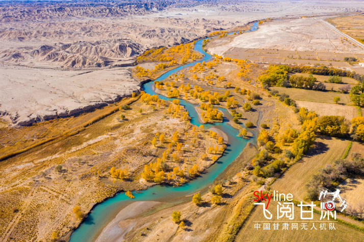 【飛閱甘肅】好美！疏勒河畔大地斑斕