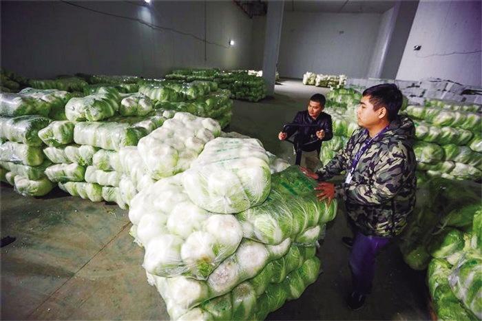 蘭州市已儲備1萬噸冬春蔬菜以耐貯存、易周轉品種為主