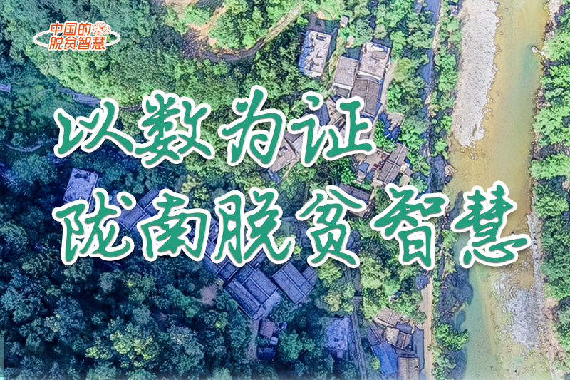 【中國(guó)的脫貧智慧】以數(shù)為證！隴南脫貧智慧來了！