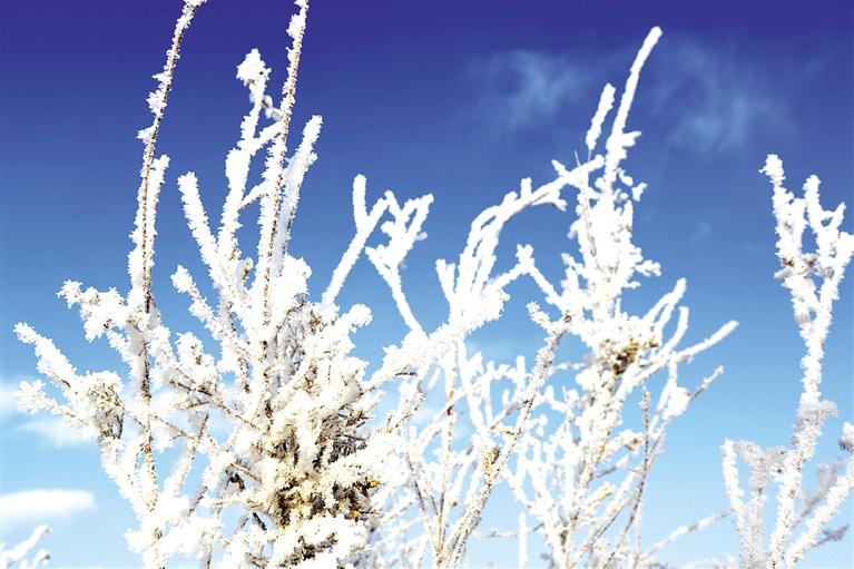 張掖 霧凇美如畫(huà)