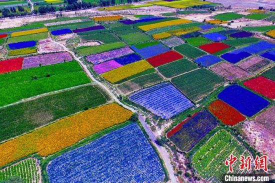 甘肅酒泉：除了天時地利，還有一“種”力