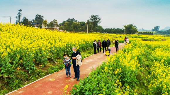 游客在花海里踏青。廖濤 攝