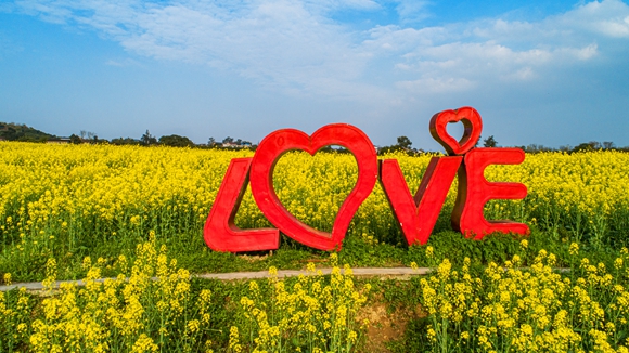 “l(fā)ove”創(chuàng)意拍照墻。廖濤 攝