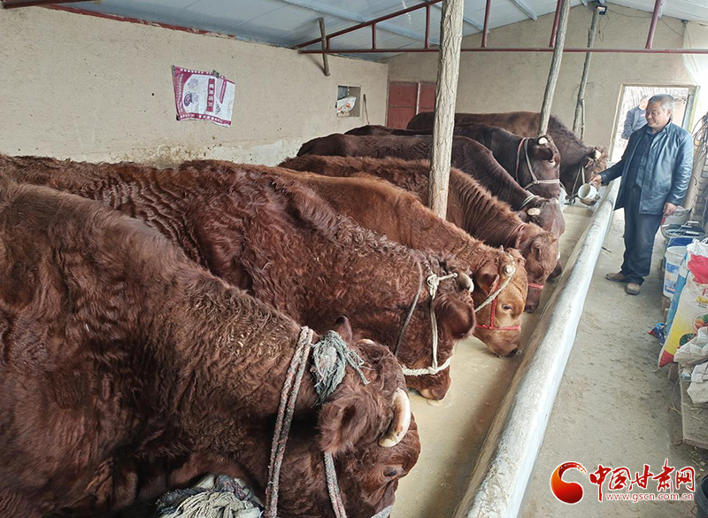 平?jīng)鰶艽ǎ骸芭！碑a(chǎn)業(yè)鋪就致富路