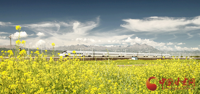 坐上火車“邂逅”春天，你可以這樣享“鐵路游”