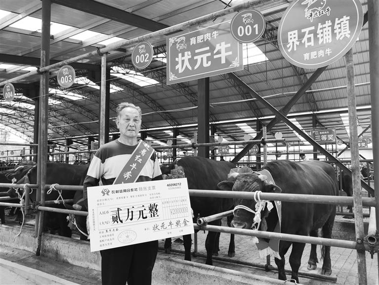 120頭“平?jīng)黾t?！膘o寧爭(zhēng)霸