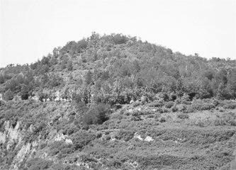 歷史眼丨張果老是正寧人？他與甘肅福緣不淺