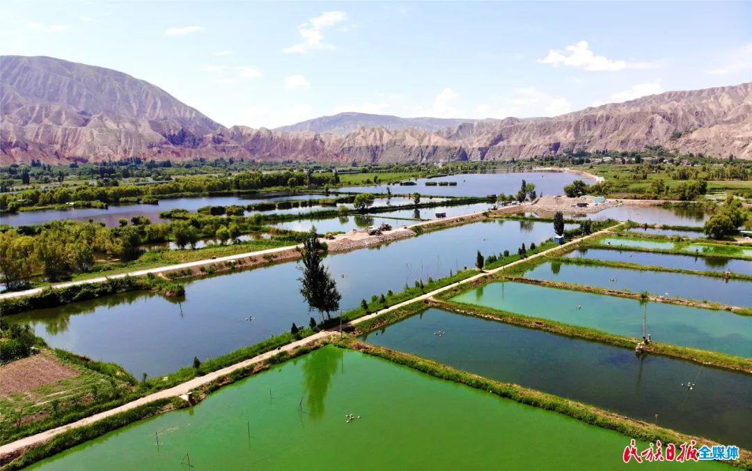 一秒入畫(huà)！太極島濕地風(fēng)光秀麗