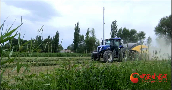 【小康圓夢·看甘肅】酒泉瓜州：現代農業(yè)體系構建蜜瓜大產業(yè)