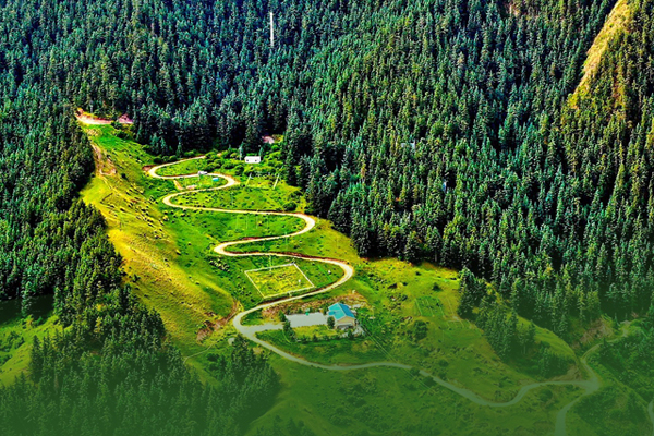 海報|祁連山保護區(qū)生態(tài)環(huán)境問題整改全面完成！