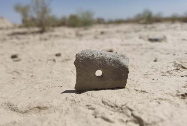插圖1：河西走廊上遺存的古陶片。攝影：陳曉斌。拍攝日期：2020年6月。