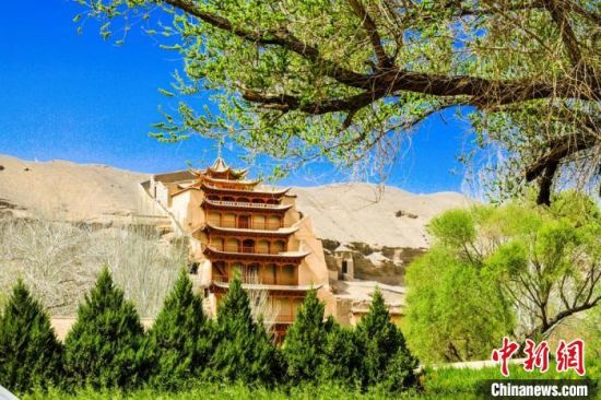 4月的敦煌莫高窟景區(qū)春意盎然。(資料圖) 王斌銀 攝
