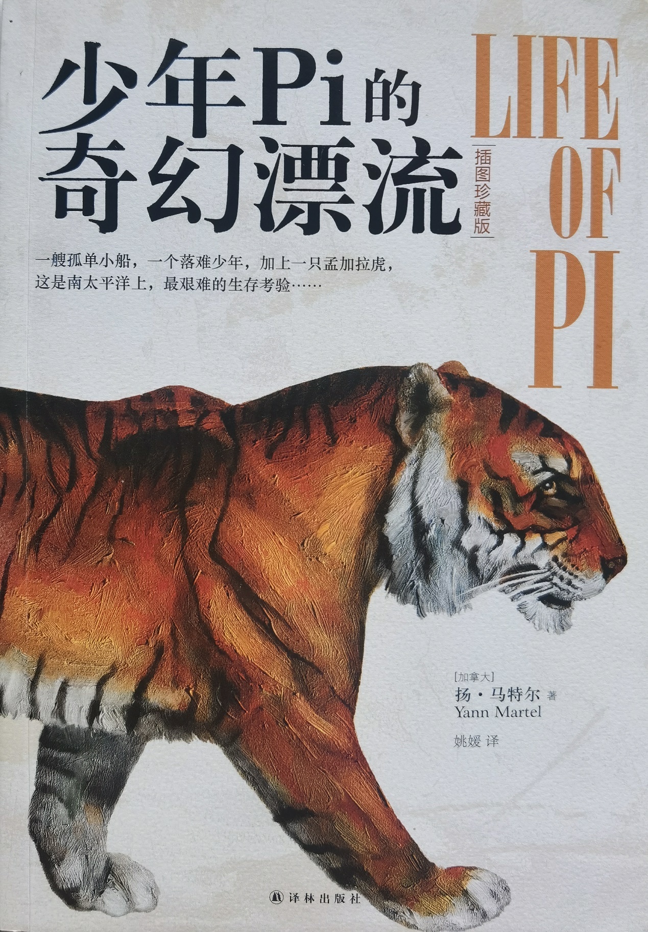 插圖1：揚(yáng)？馬特爾的小說《少年pi的奇幻漂流》封面