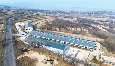 【奮進(jìn)新征程 建功新時代 喜迎省第十四次黨代會】項目落地生根 產(chǎn)業(yè)開花結(jié)果