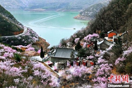 甘肅平?jīng)鍪惺侵袊?guó)優(yōu)秀旅游城市。圖為平?jīng)鲠轻忌较率锾一ㄊ㈤_。(資料圖) 平?jīng)鍪形麄鞑抗﹫D