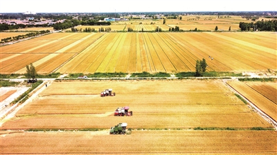 1660002073740832.jpg 4.jpg