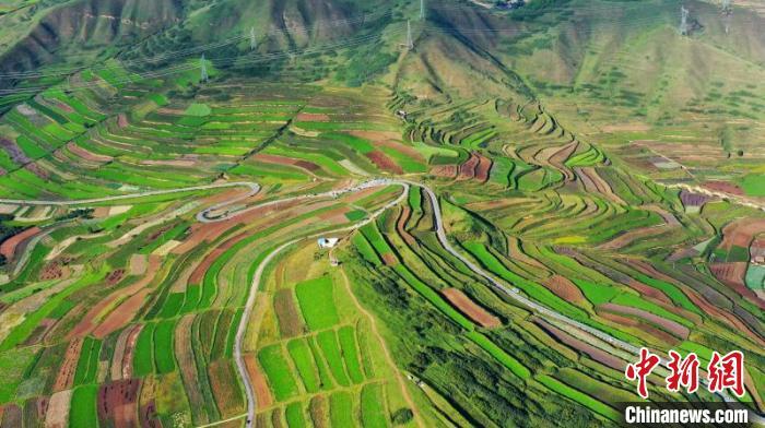 秋日里，榆中縣馬坡鄉(xiāng)千畝梯田，不同農(nóng)作物漸趨成熟，呈現(xiàn)出多種色彩，宛若大地的“調(diào)色盤”?！圆?攝