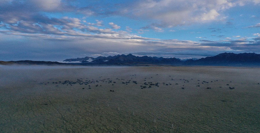 甘肅山丹馬場(chǎng)：峽谷云霧似仙境。 王超攝