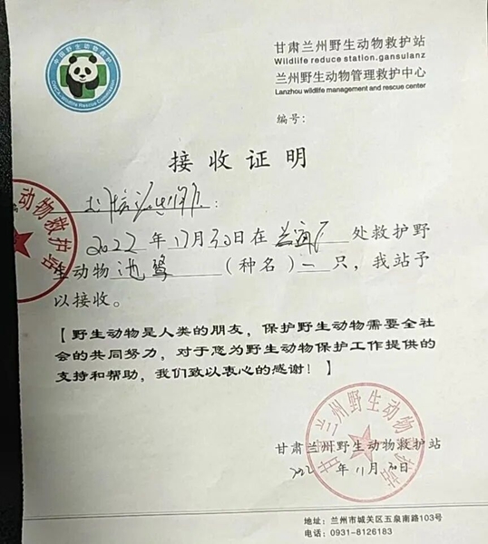 受到救助的池鷺被蘭州野生動物保護站接收。（蘭州市公安局七里河分局供圖）