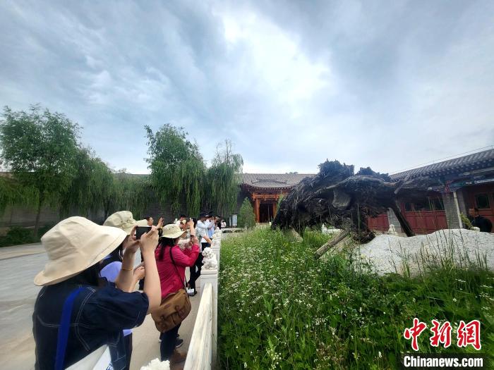 圖為媒體記者在青海永錄民俗參觀采訪?！⊙Φ?攝