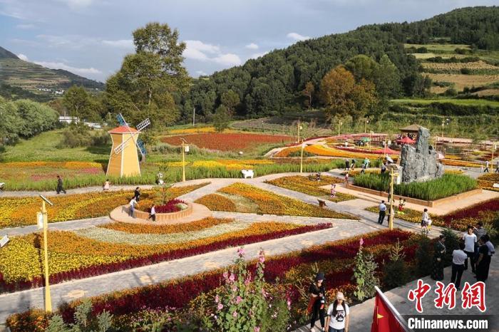 圖為航拍甘肅甘南臨潭縣八角鎮(zhèn)，花海吸引游人。(資料圖)高展 攝