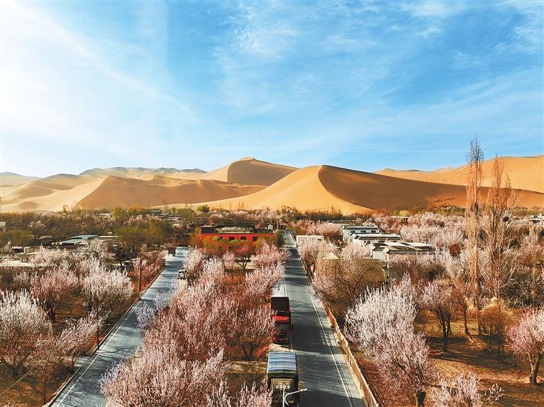 近日，敦煌鳴沙山下的李廣杏杏花陸續(xù)開(kāi)放，美如畫卷。新甘肅·甘肅日?qǐng)?bào)通訊員　張曉亮