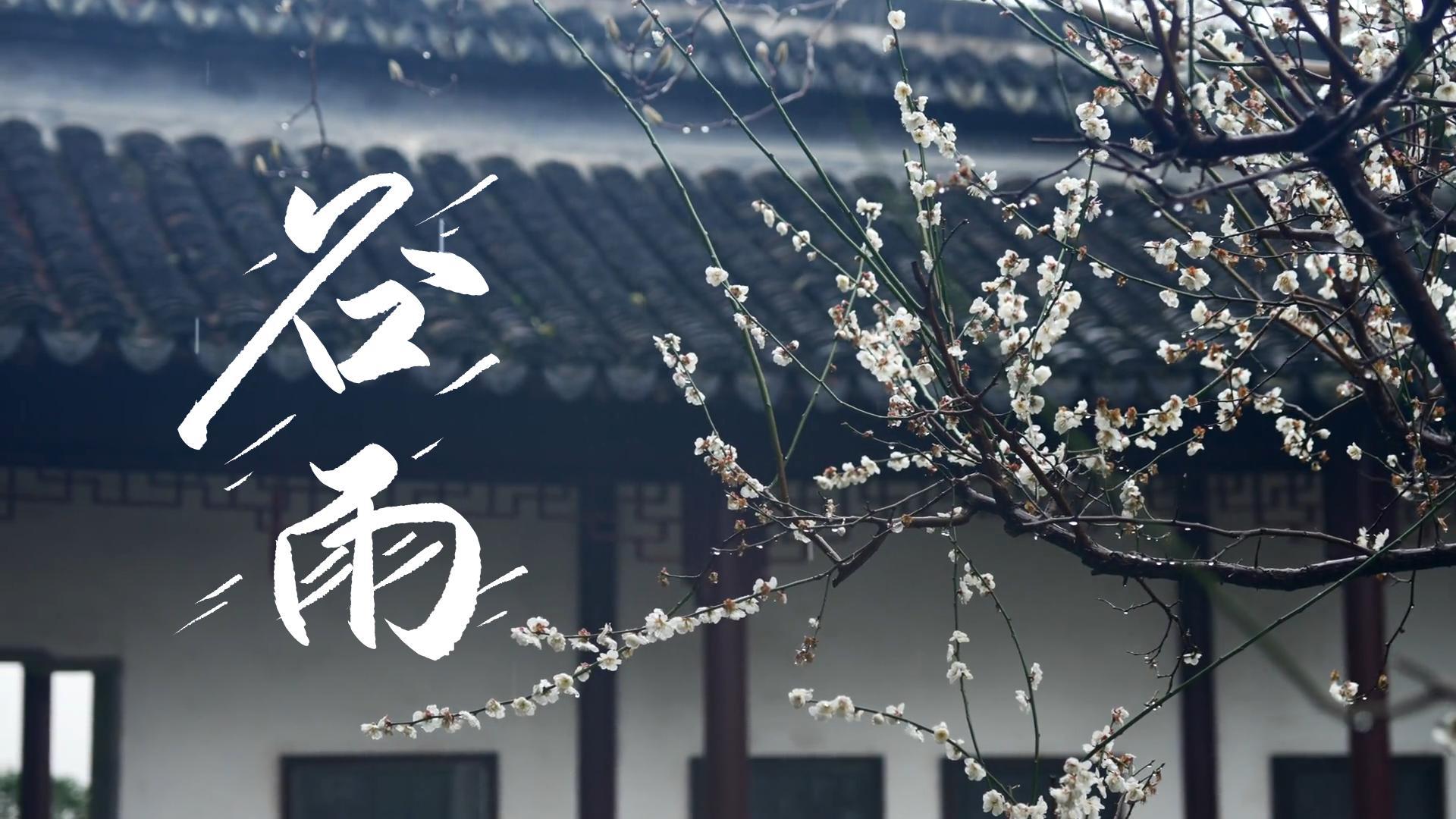 【節(jié)氣里的大美甘肅】谷雨，春天的最后一次回眸