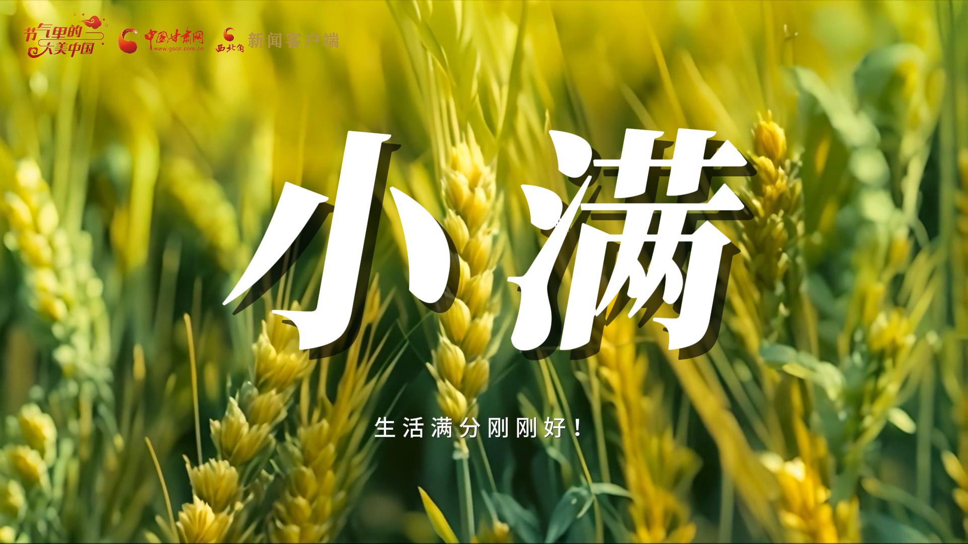 【節(jié)氣里的大美甘肅·小滿】生活滿分剛剛好！