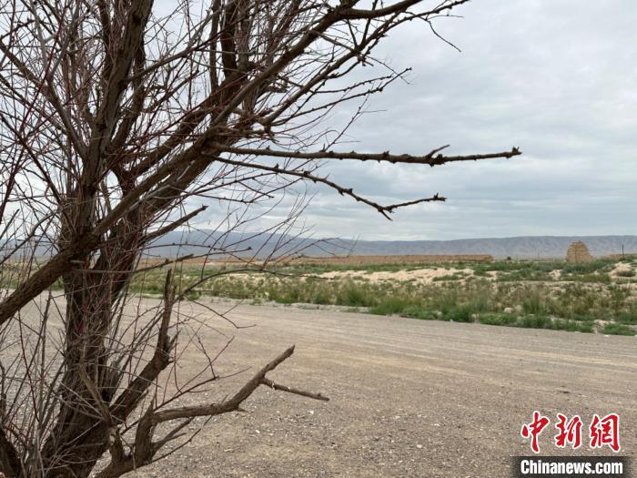 圖為位于長(zhǎng)城墻體上的“馬面”或“敵臺(tái)”?！〈魑牟?攝